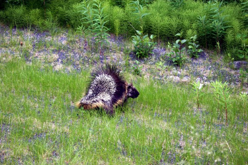 070304 Hope Seward Hope (10101)